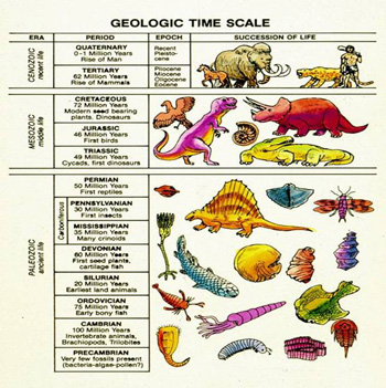 Общепринятая геохронологическая шкала