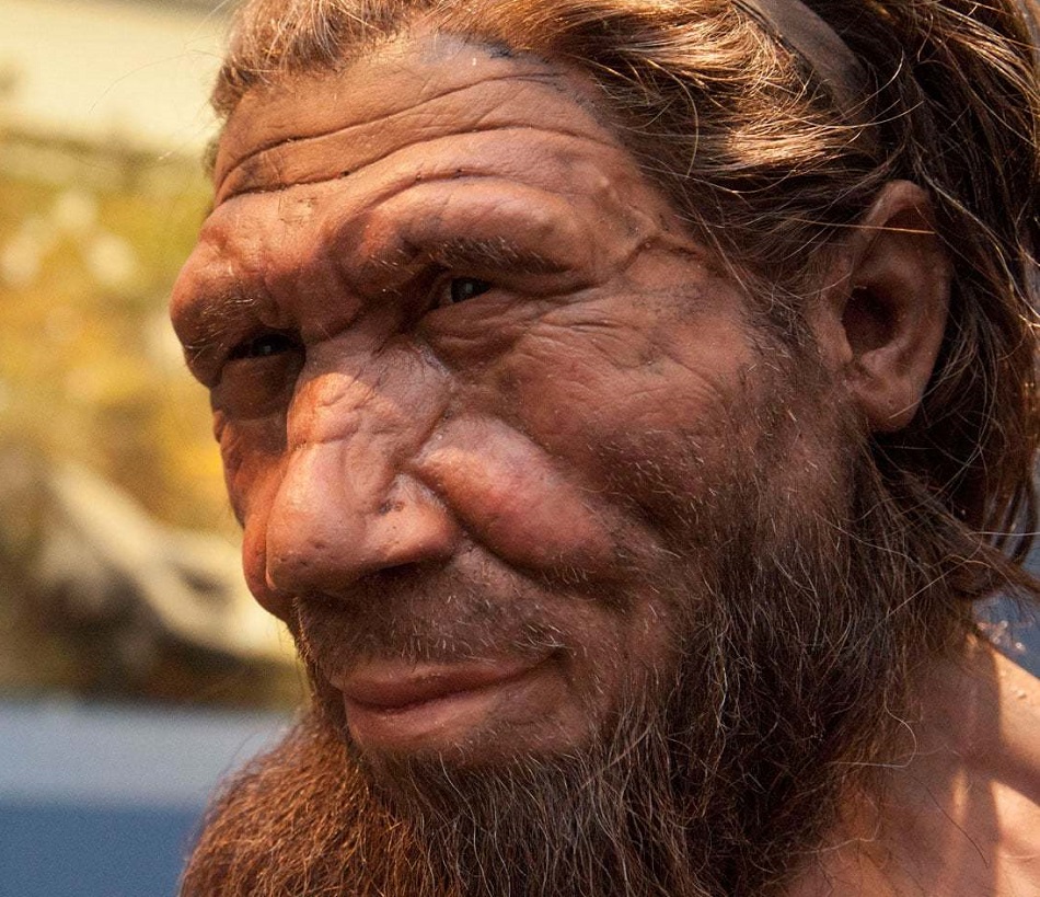 Неандертальцы были полноценными людьми