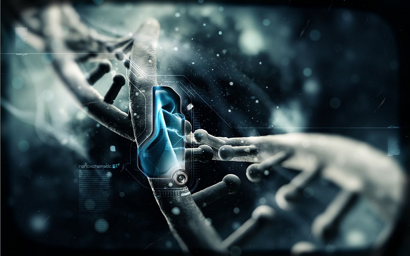 ДНК - сообщения или беспорядок