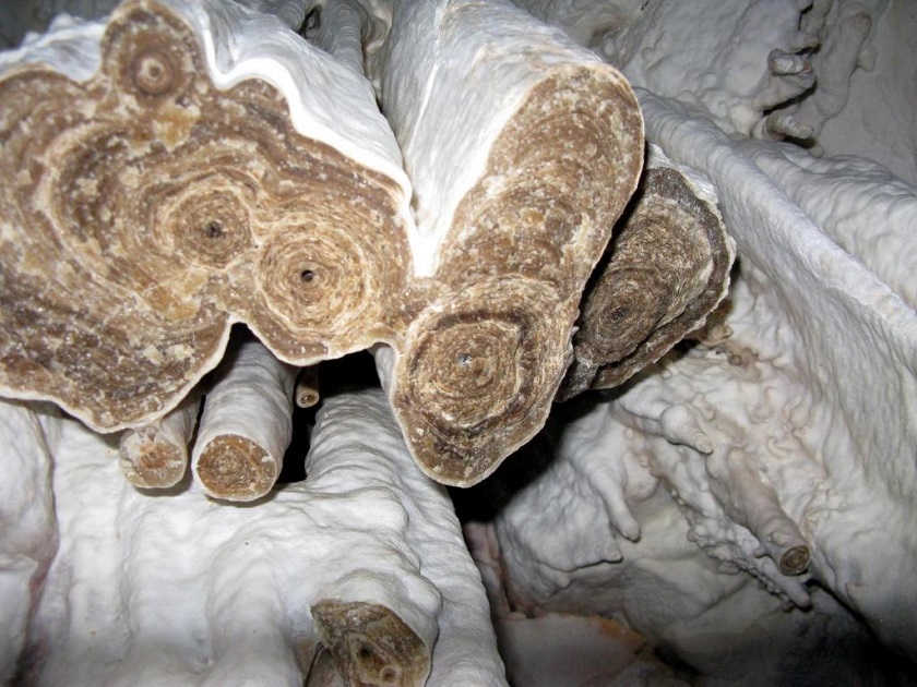 Пещера со сталактитами картинка