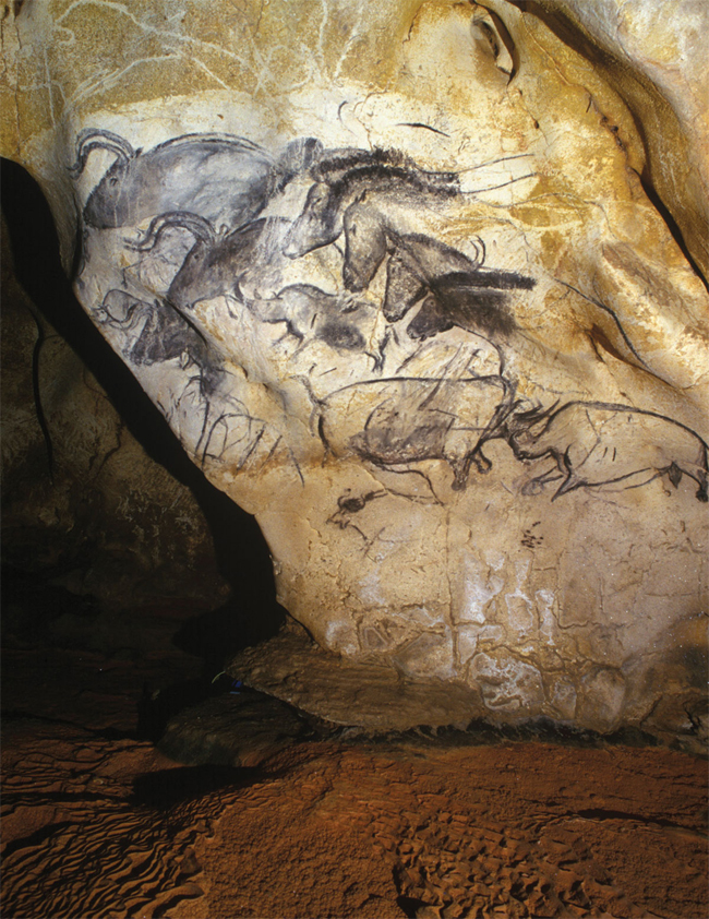 Споры, порожденные пещерой Шове