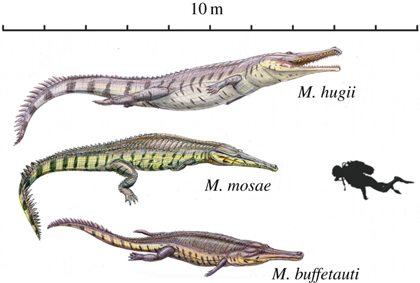 крокодил юрского периода