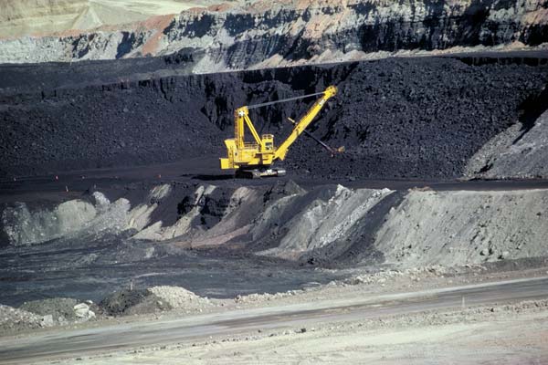 Происхождение угля