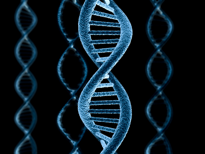 Электрическая ДНК