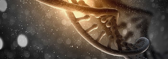 Двойной генетический код снова опровергает эволюцию