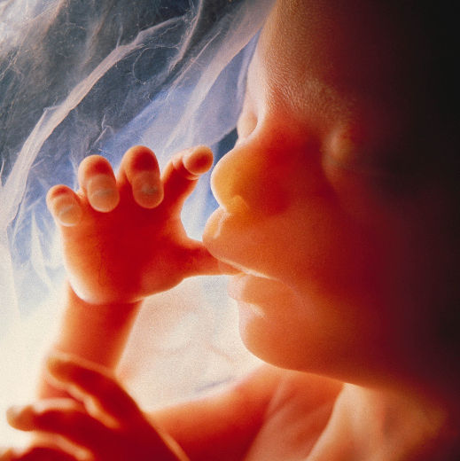 Борьба против абортов – неотъемлемая часть справедливого общества