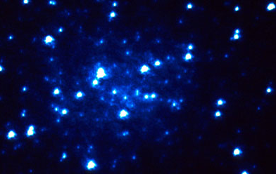 В галактике «Млечный Путь» обнаружены молодые голубые звезды