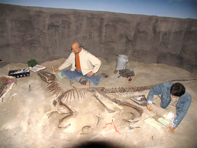 Кости динозавров: каков же на самом деле их возраст?