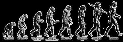 Cамая известная «икона» эволюции оказалась фальшивой