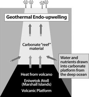  Как внутренний геотермальный подъем вод с глубин может объяснить толстые «рифовые» скопления со времени Потопа