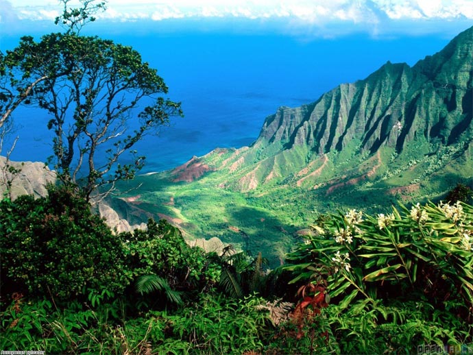 Вулканическое происхождение острова Гавайи: быстро созданный рай