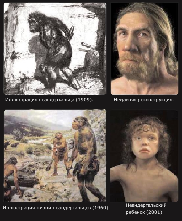 Заботливые неандертальцы