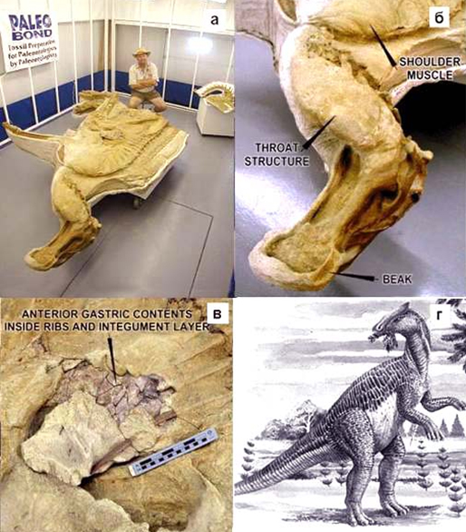 Мумия утконосого динозавра брахилозавра Леонардо
