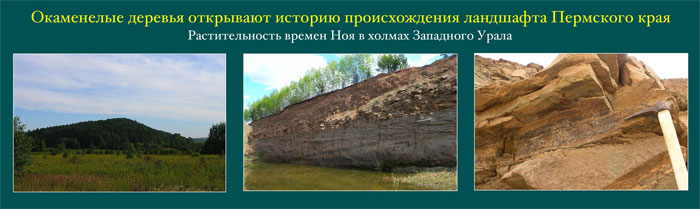 Окаменелые деревья открывают историю происхождения ландшафта Пермского края