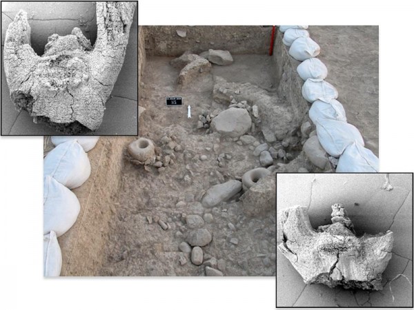 Раскопки в Иране, где были обнаружены зерна древней пшеницы